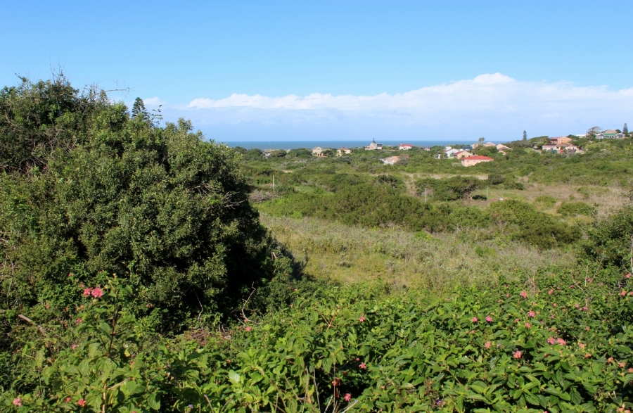 0 Bedroom Property for Sale in Forest Downs Eastern Cape